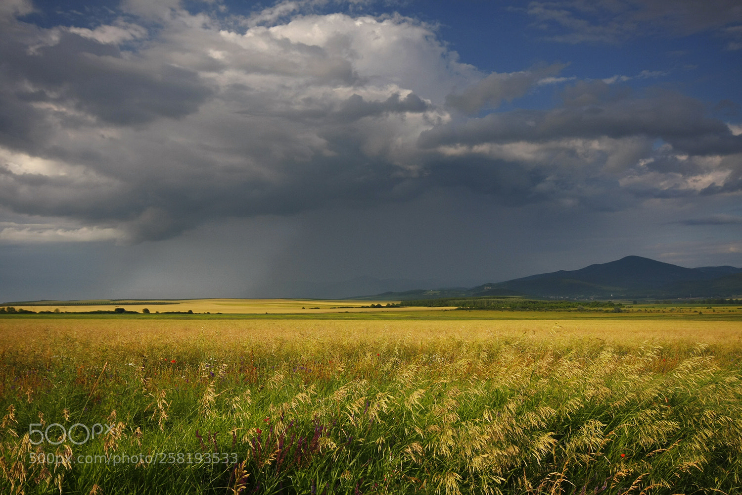 Canon EOS 40D sample photo. Distant rain photography