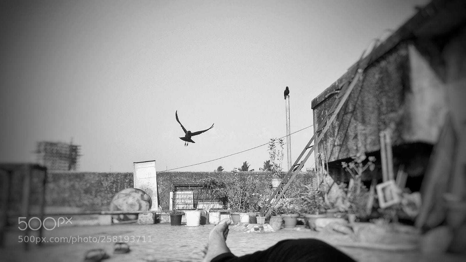 Xiaomi Redmi Note 4 sample photo. Untitled photography