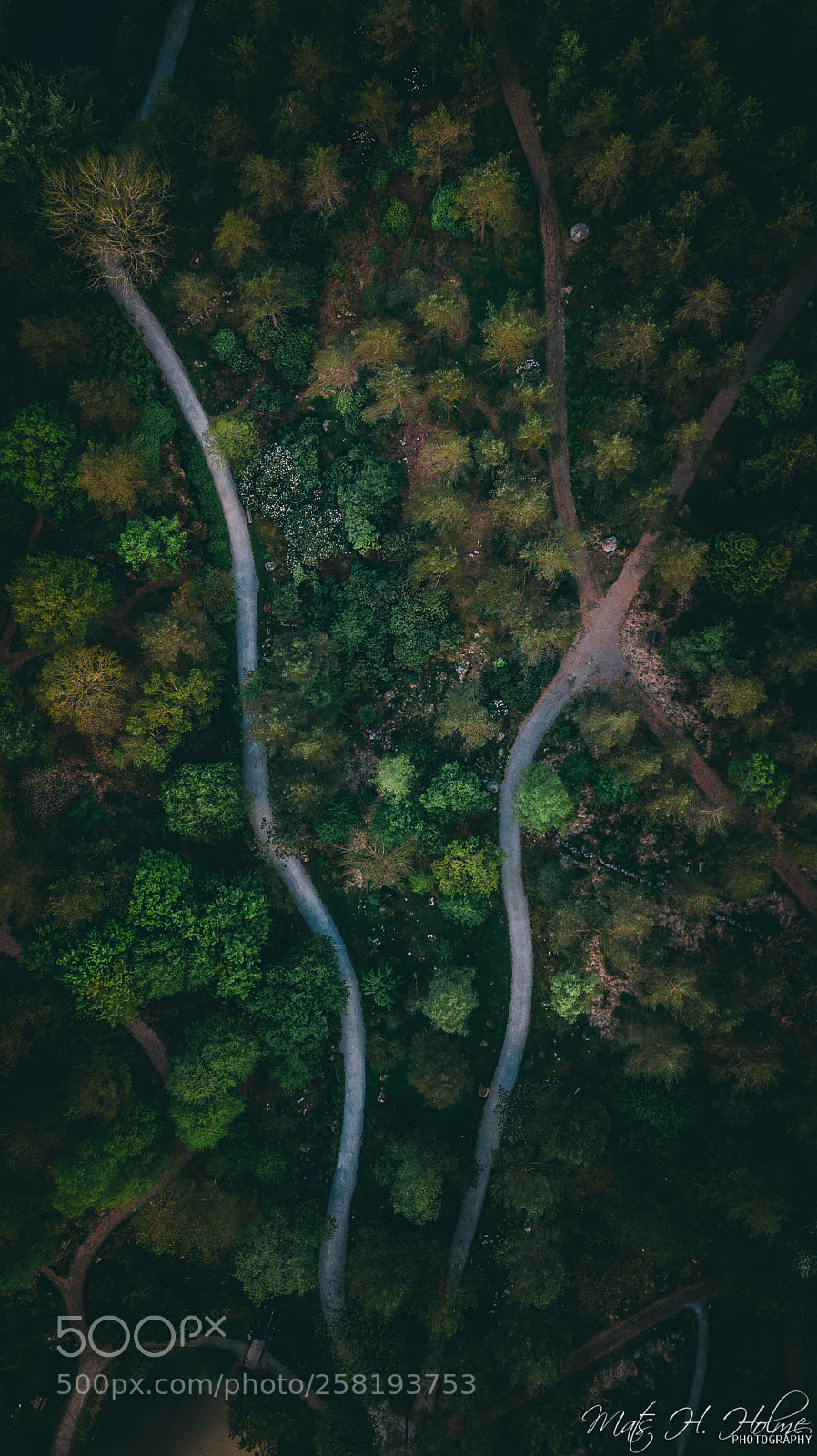 DJI FC220 sample photo. Over the woods photography