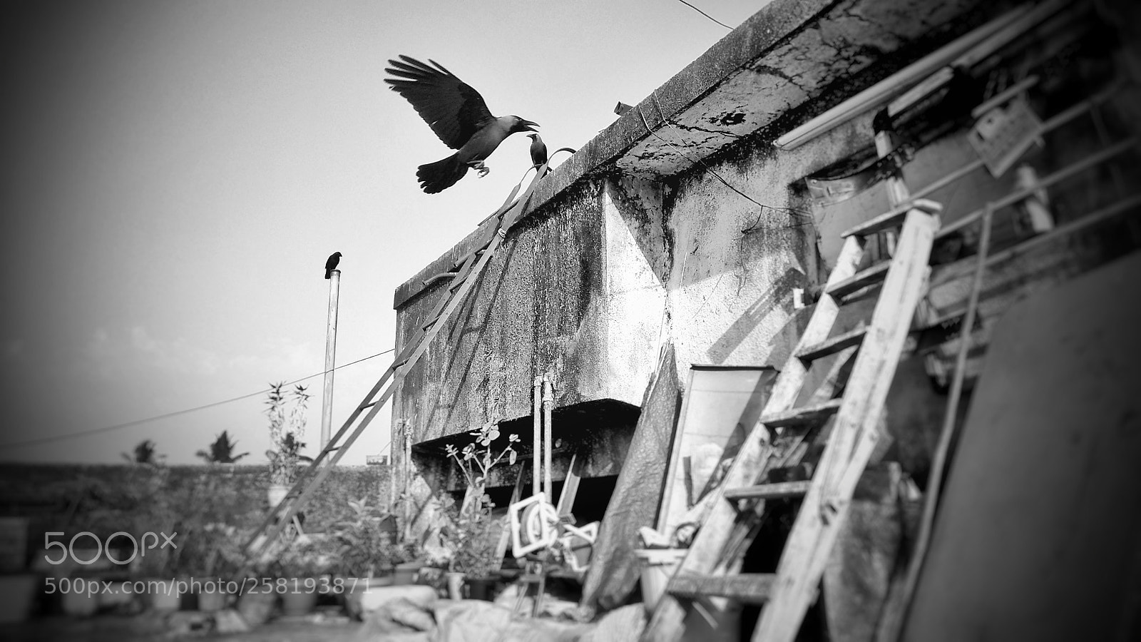 Xiaomi Redmi Note 4 sample photo. Mumbai afternoon photography