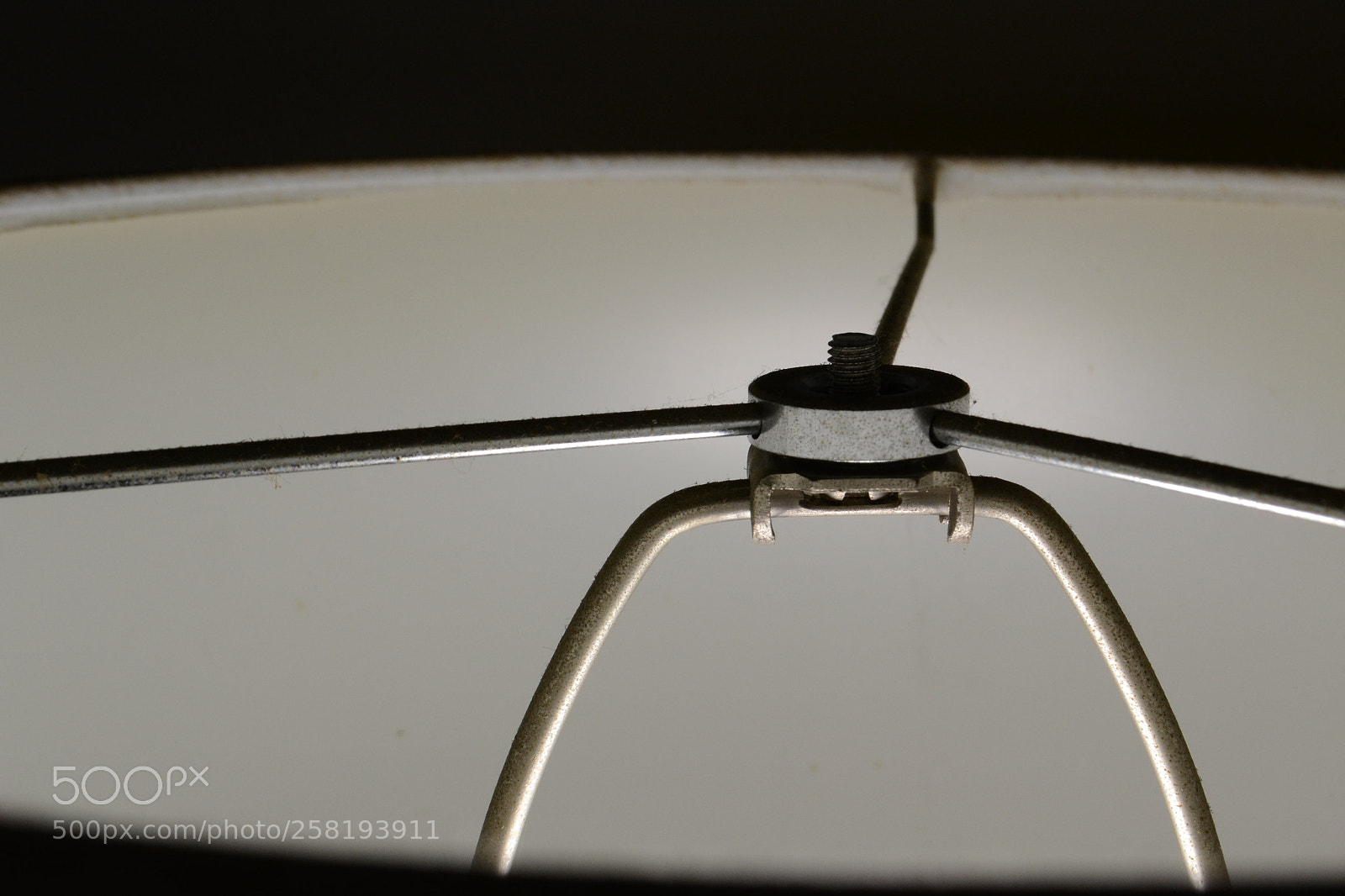 Nikon D3100 sample photo. Object 1 photography