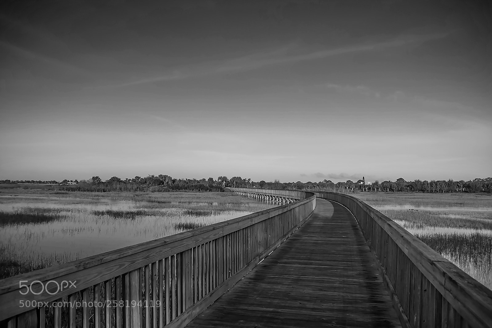 Canon EOS 50D sample photo. Boardwalk in mono photography