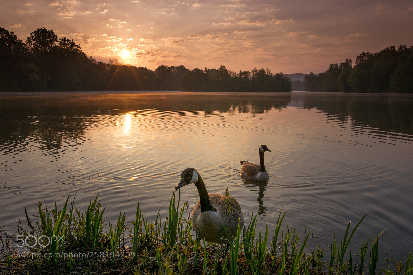 Nikon D7200 sample photo. At the lake photography
