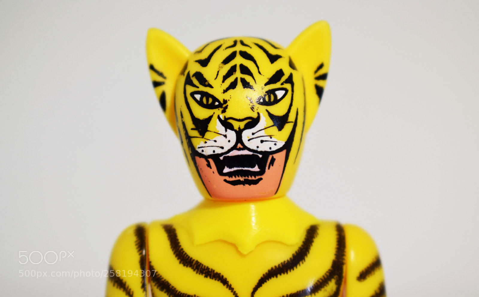 Nikon D3300 sample photo. Dsc photography