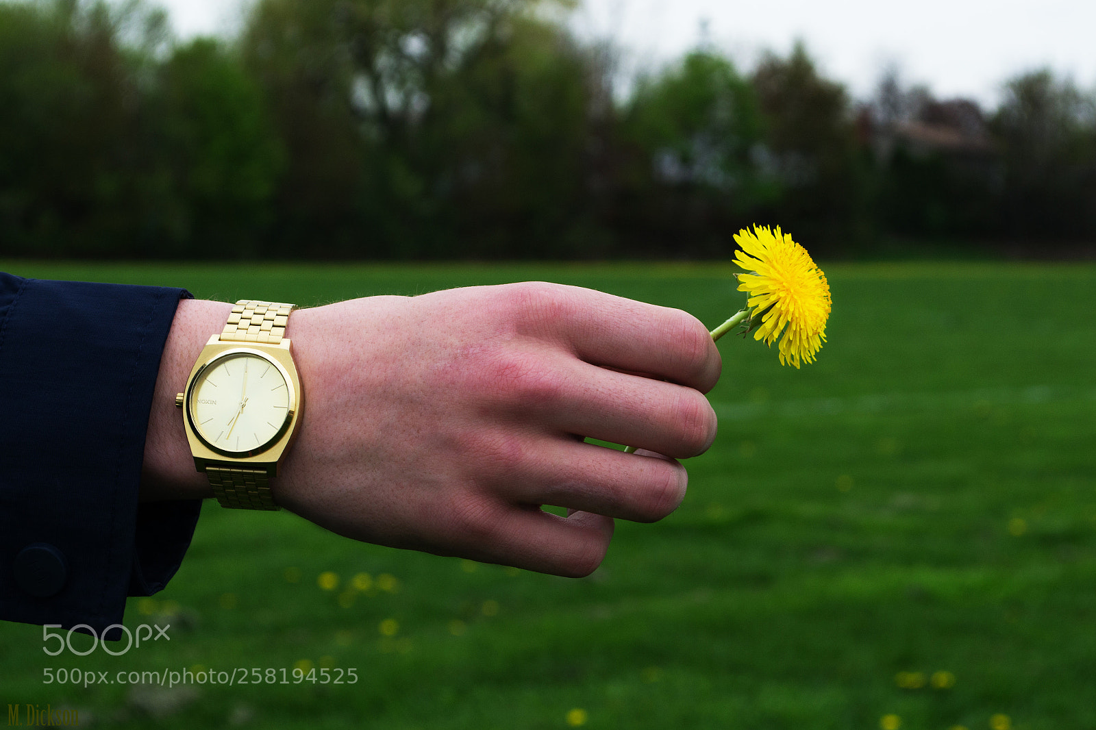 Nikon D3100 sample photo. Thirteenth step photography