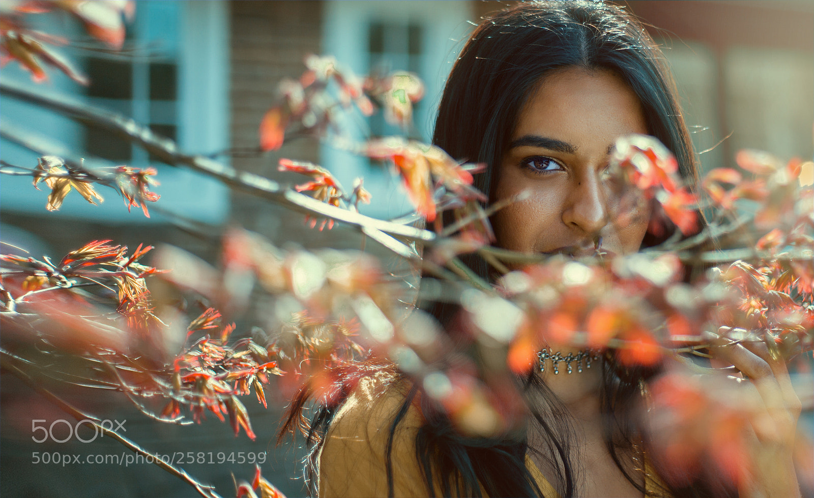 Canon EOS 5D Mark II sample photo. Now you see me. photography