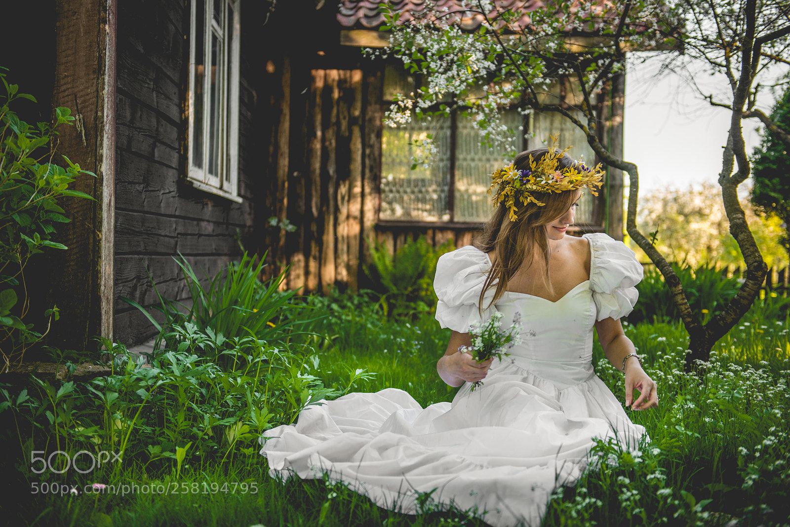 Nikon D610 sample photo. Untitled photography