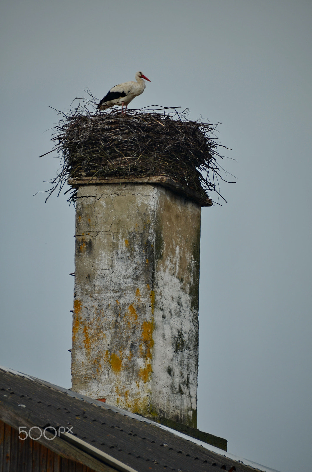 Nikon D7000 sample photo. Chimney photography