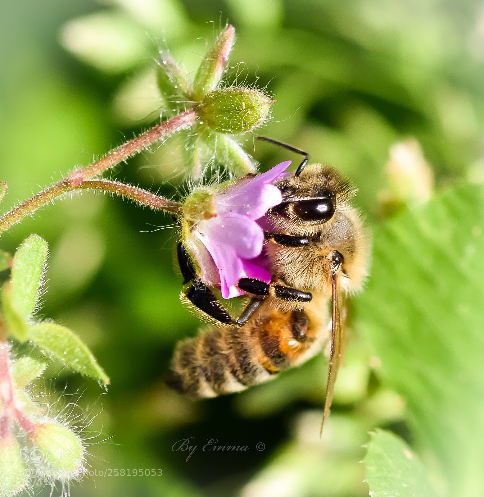 Nikon D3300 sample photo. Untitled photography