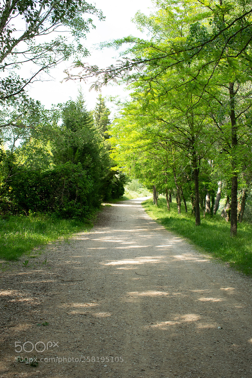 Nikon D3300 sample photo. Calm way photography