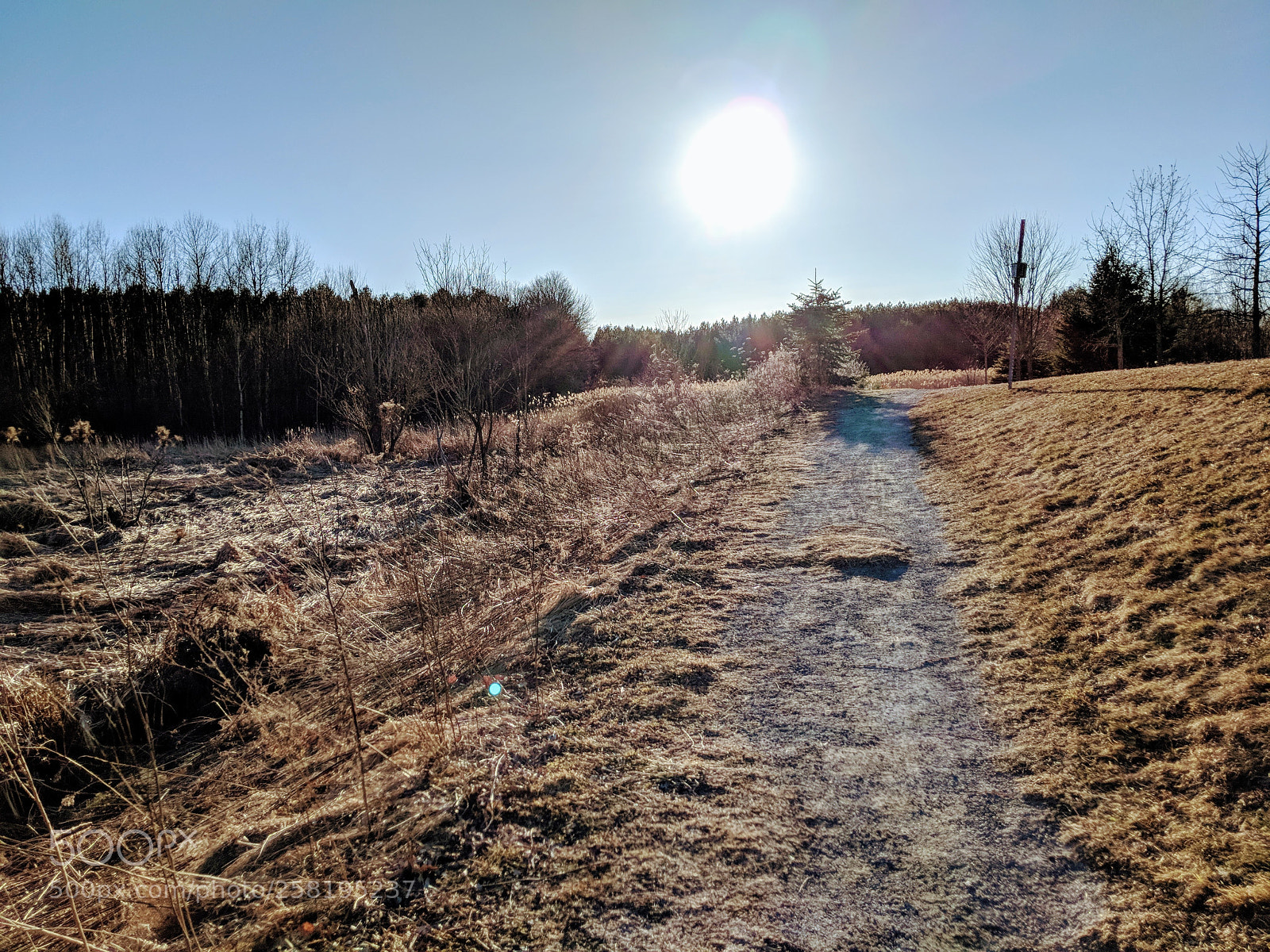 Google Pixel 2 XL sample photo. Maker 0x4c,date 2017-10-24,ver 4,lens photography