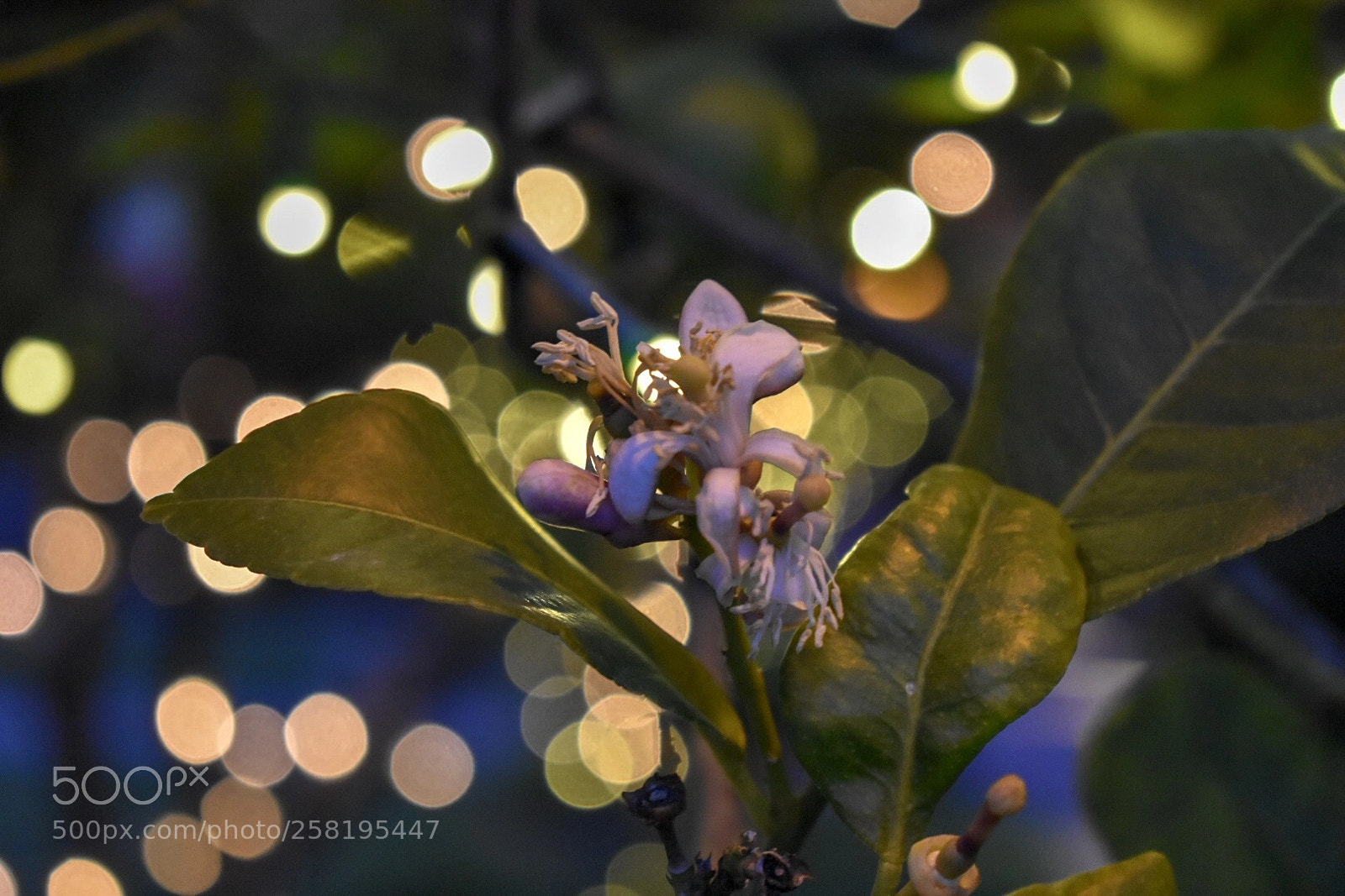 Nikon D3400 sample photo. And all that i photography