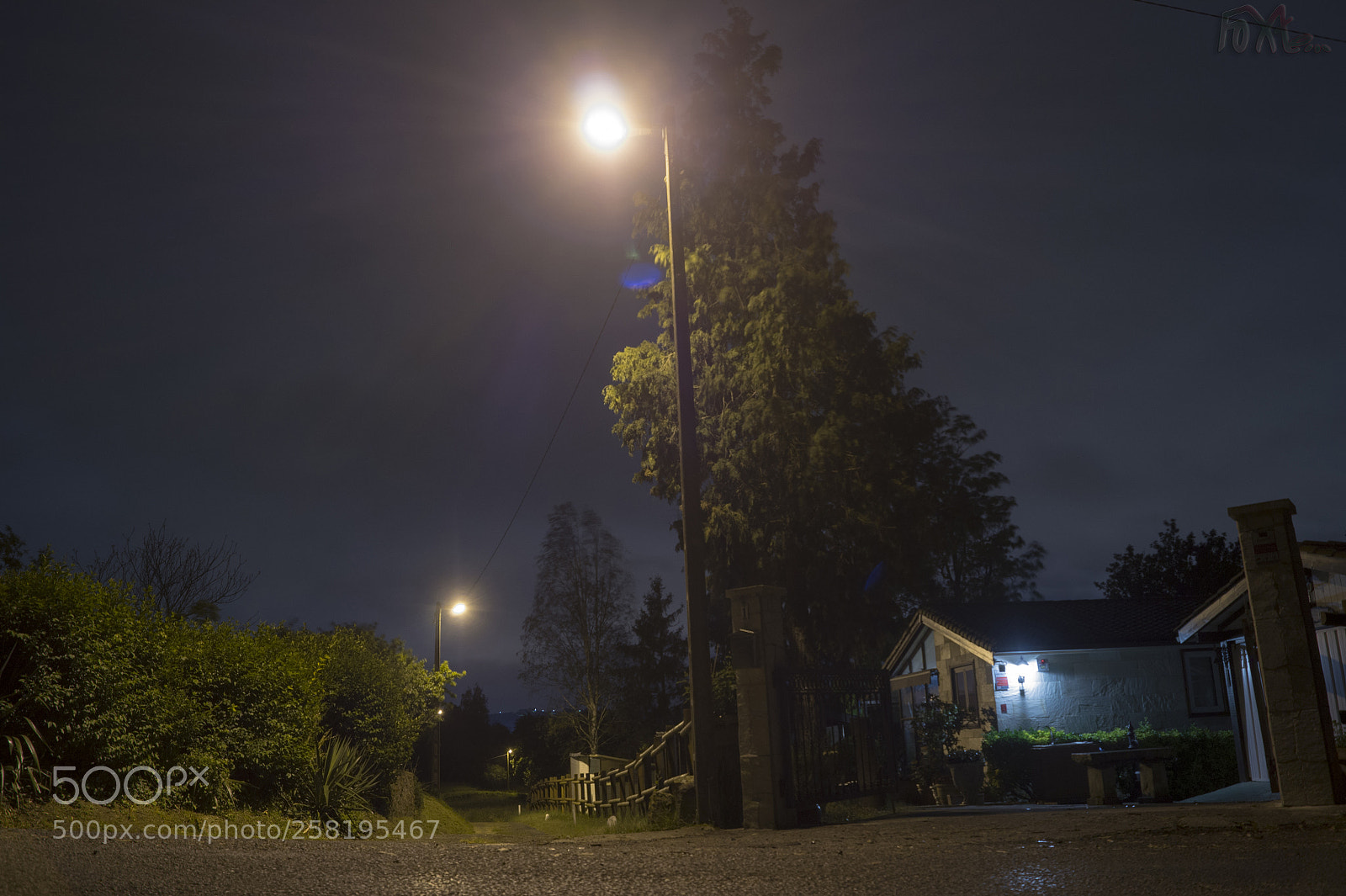Sony SLT-A58 sample photo. Untitled photography