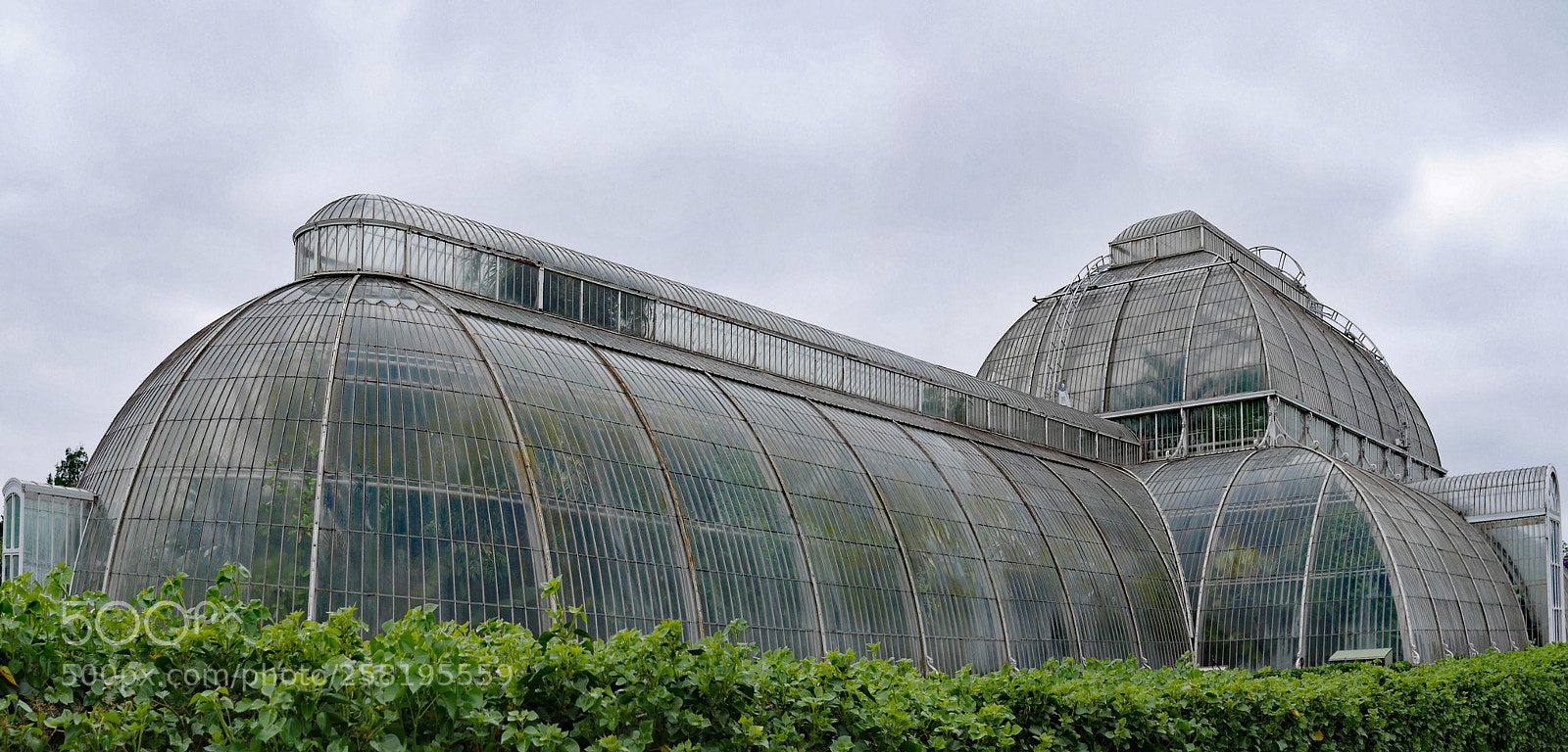 Panasonic Lumix DMC-GX7 sample photo. Palm house kew gardens photography