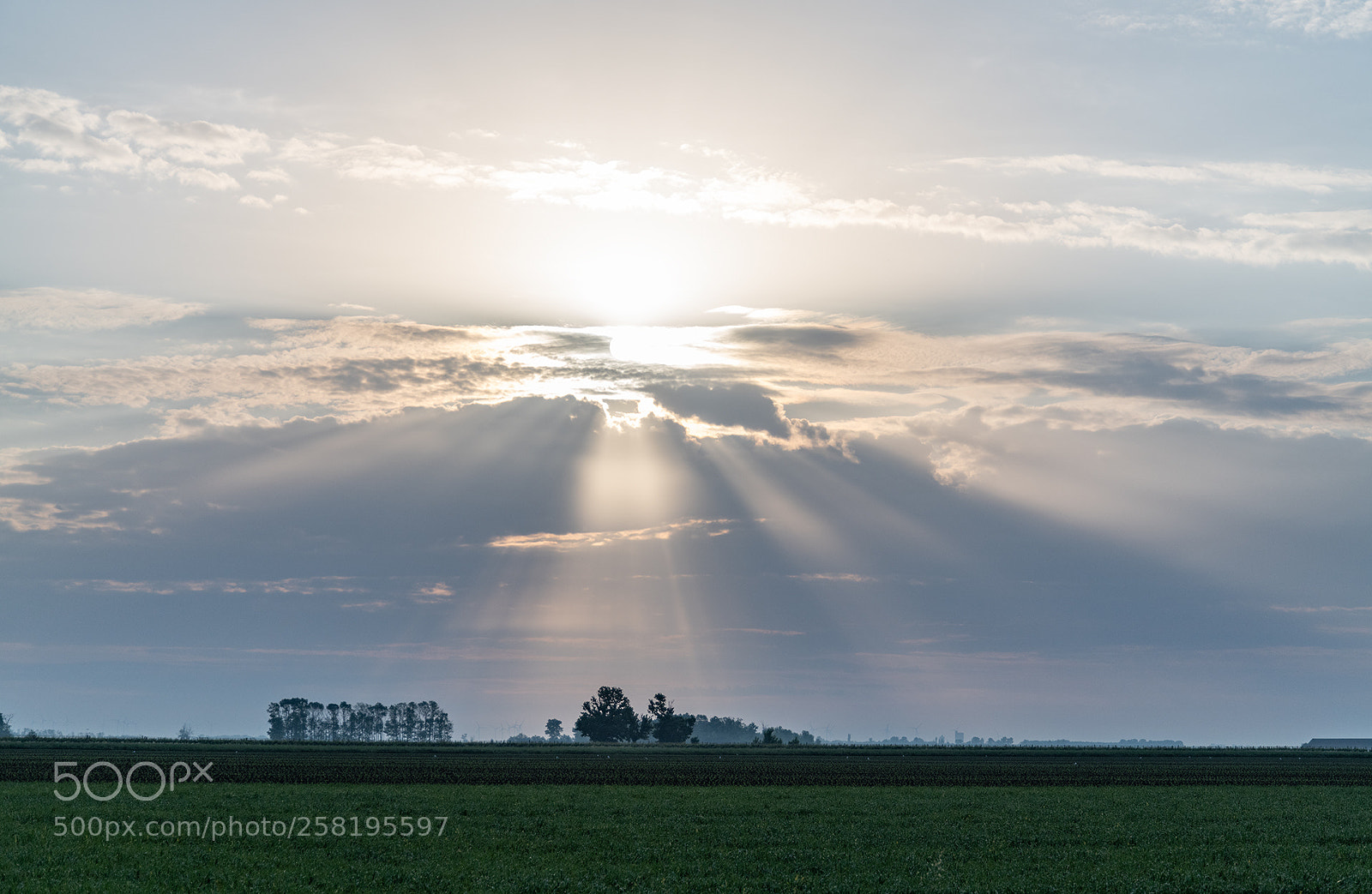 Nikon D850 sample photo. Seewinkel burgenland photography