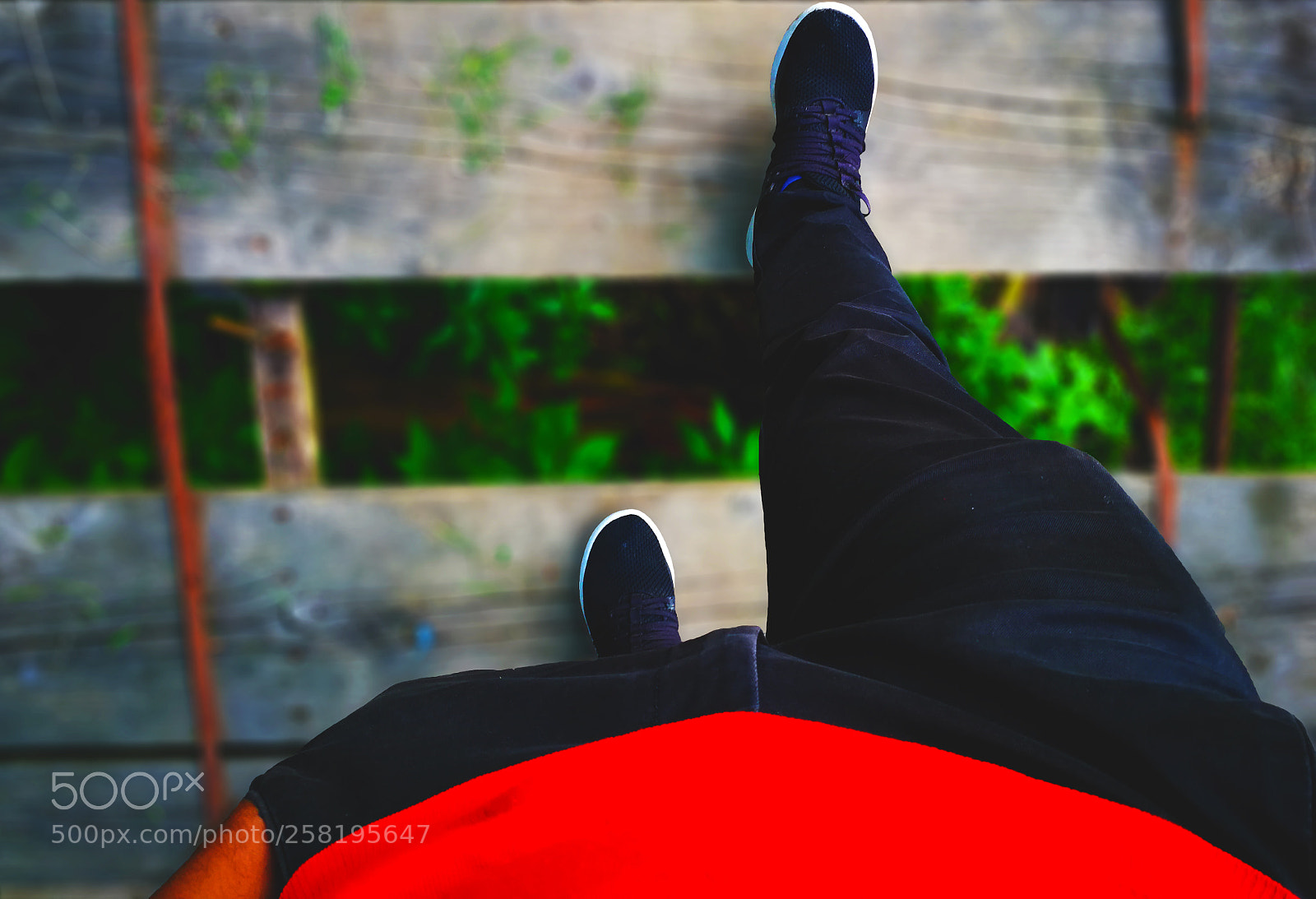 HUAWEI P10 sample photo. Step by step photography