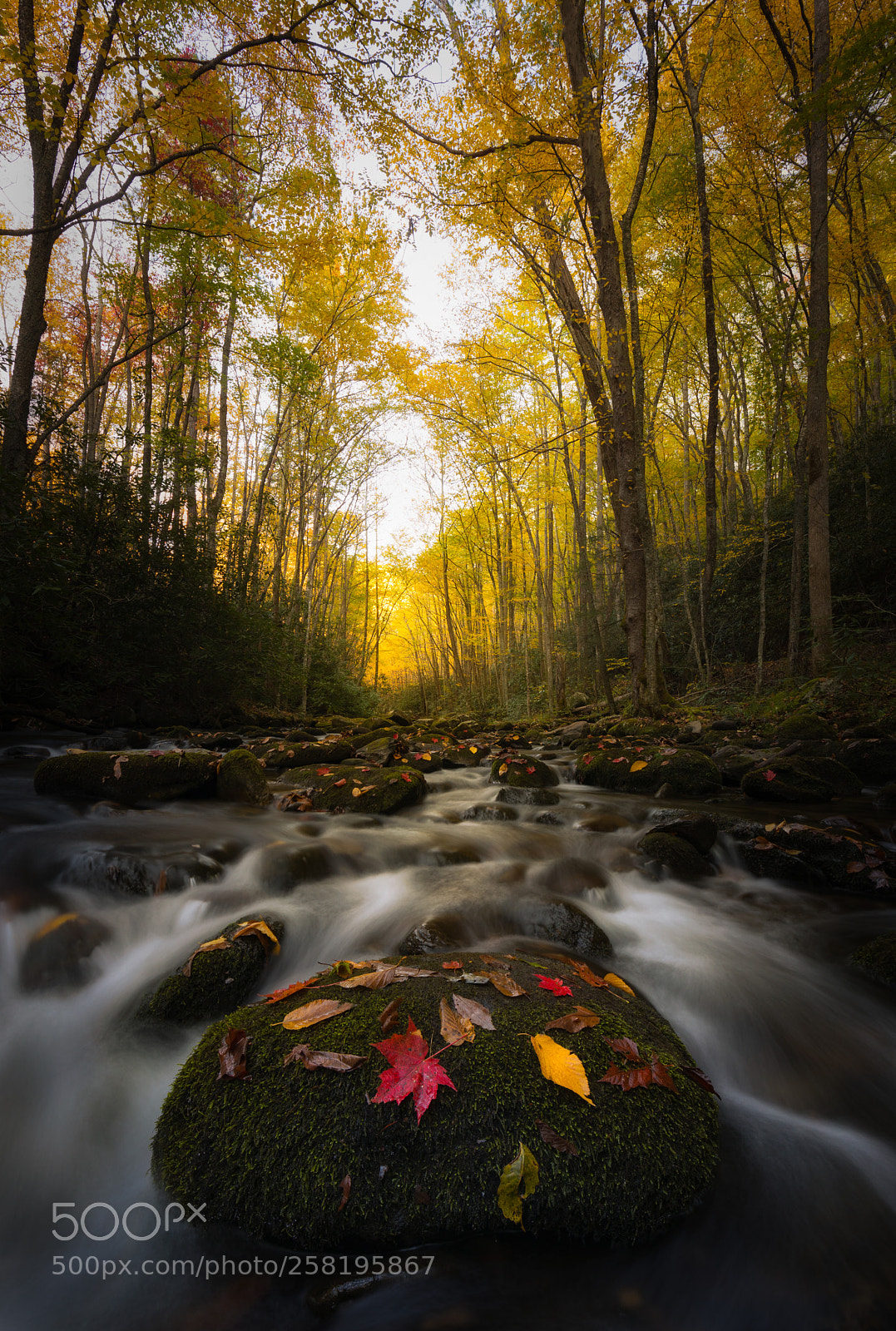 Canon EOS 5D Mark IV sample photo. Smoky mountain stream photography