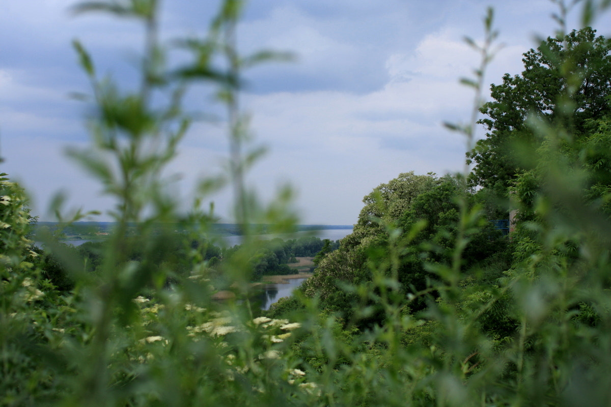 Canon EOS 40D + Canon EF 28mm F2.8 sample photo. By the river on the morning photography