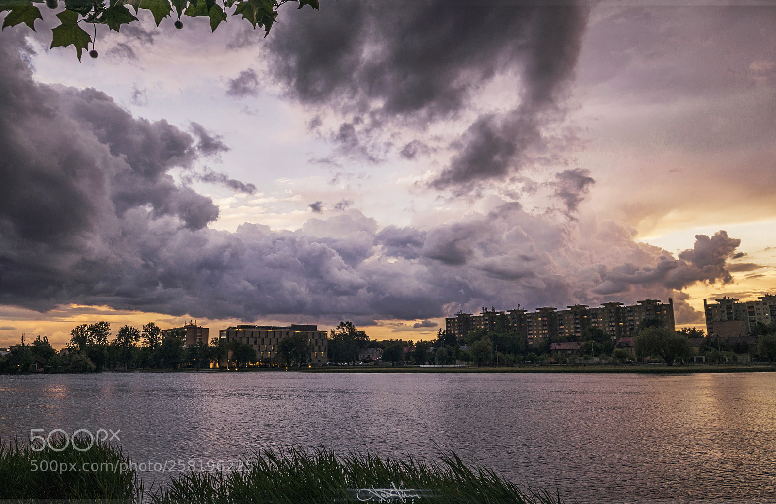 Nikon D5300 sample photo. Begining photography