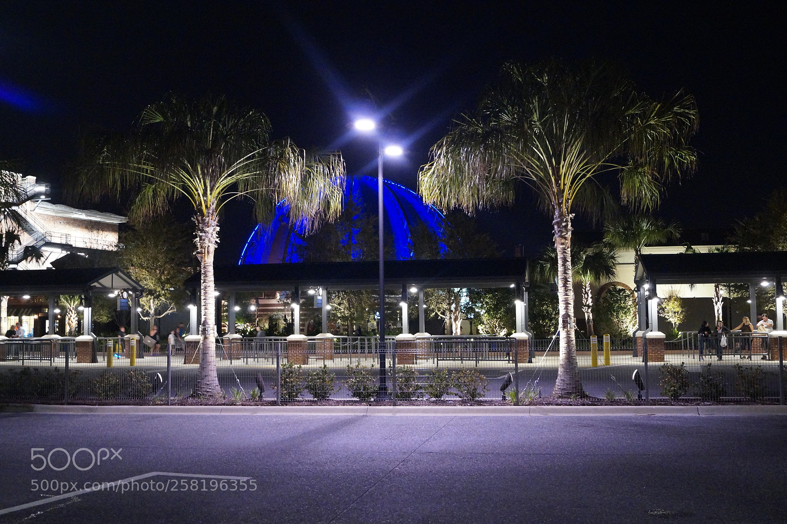 Sony SLT-A58 sample photo. Disney springs night photography