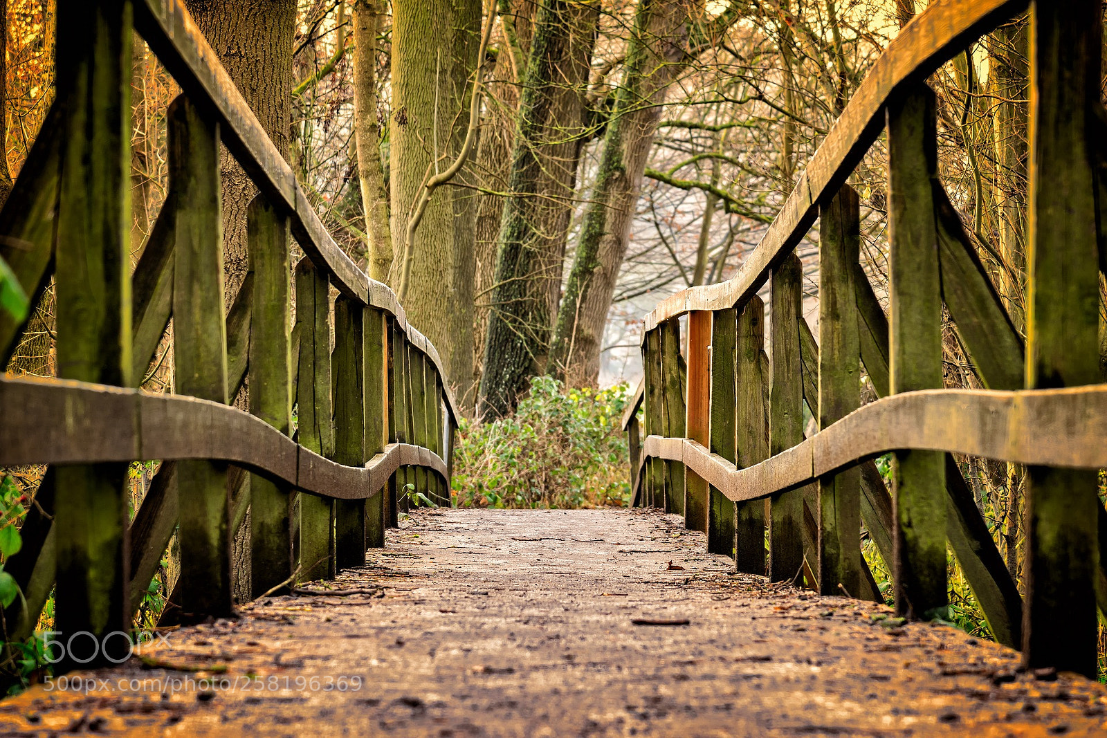 Nikon D3300 sample photo. The bridge photography