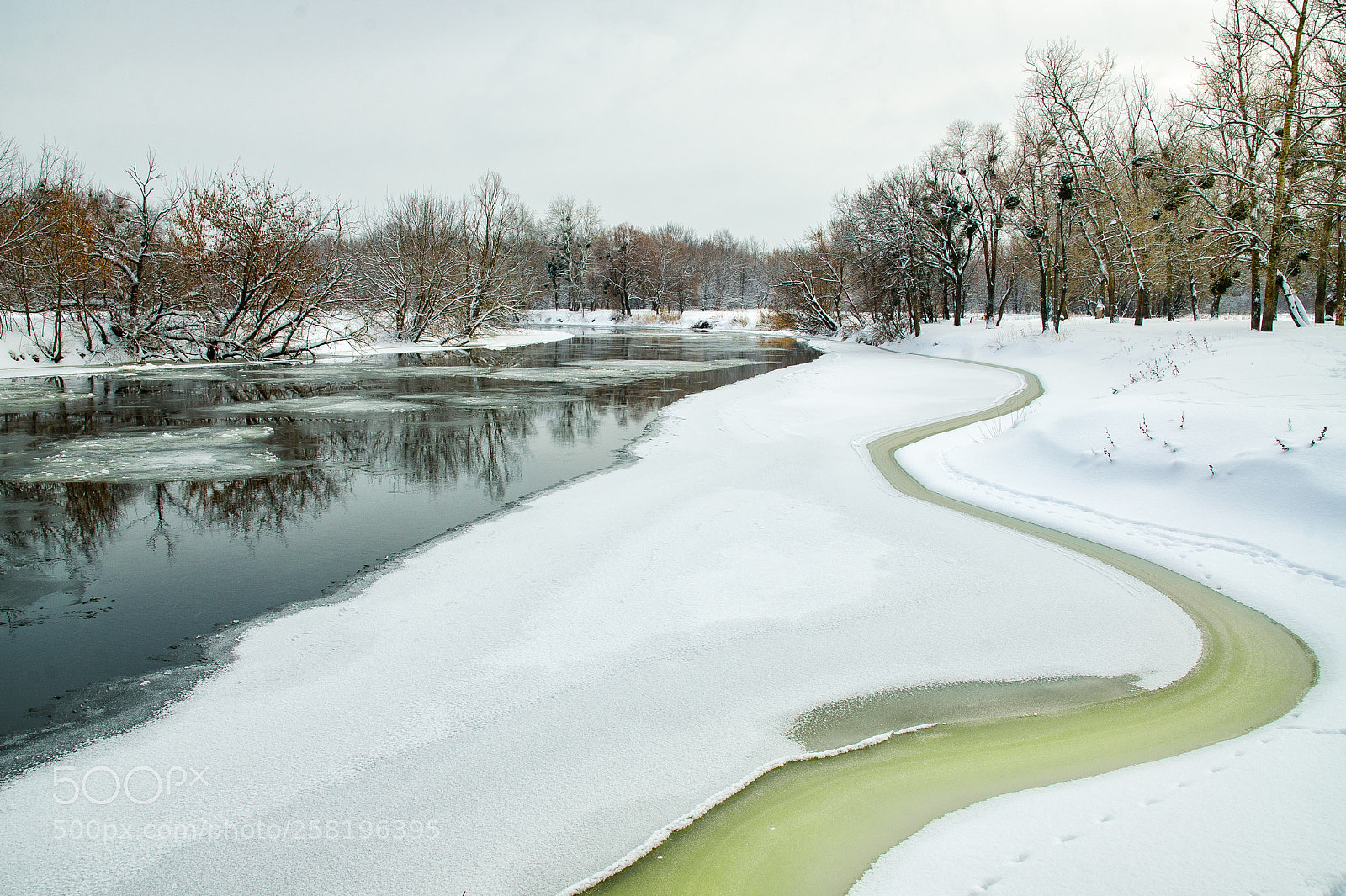 Nikon D7000 sample photo. River in river photography