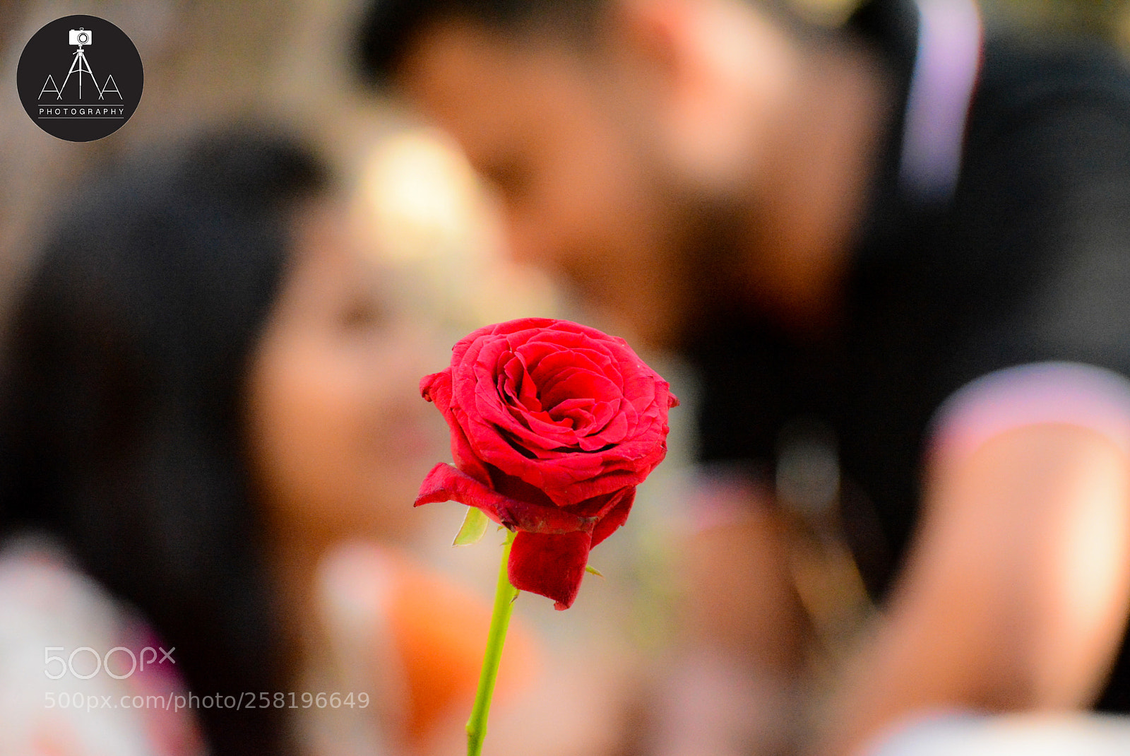 Nikon D5200 sample photo. Untitled photography