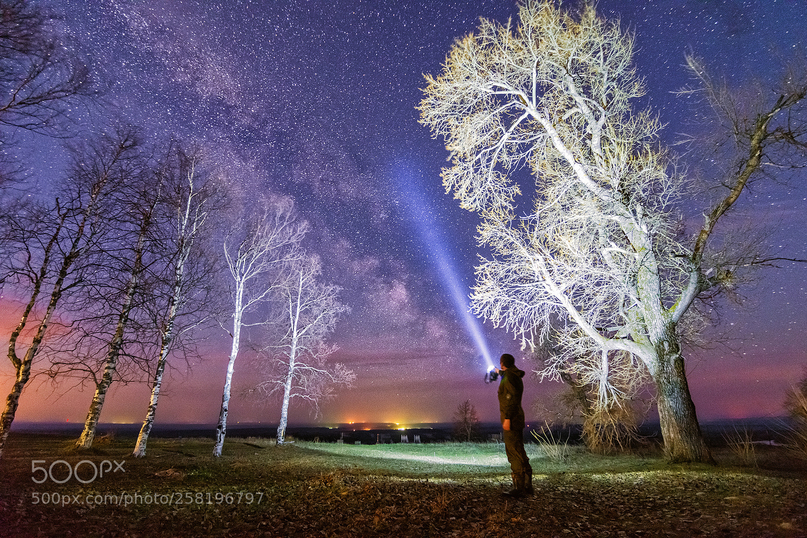 Nikon D600 sample photo. Guardian of the night photography