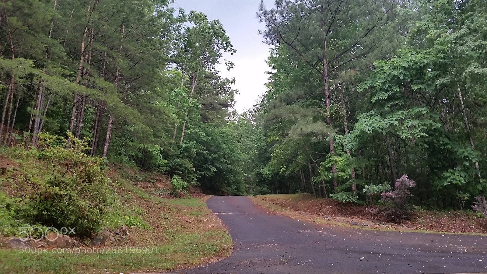 Samsung Galaxy S5 sample photo. Driveway photography