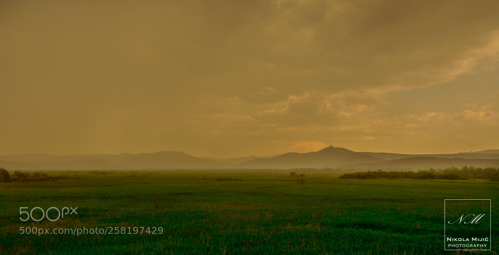 Nikon D3200 sample photo. Golden sunset photography