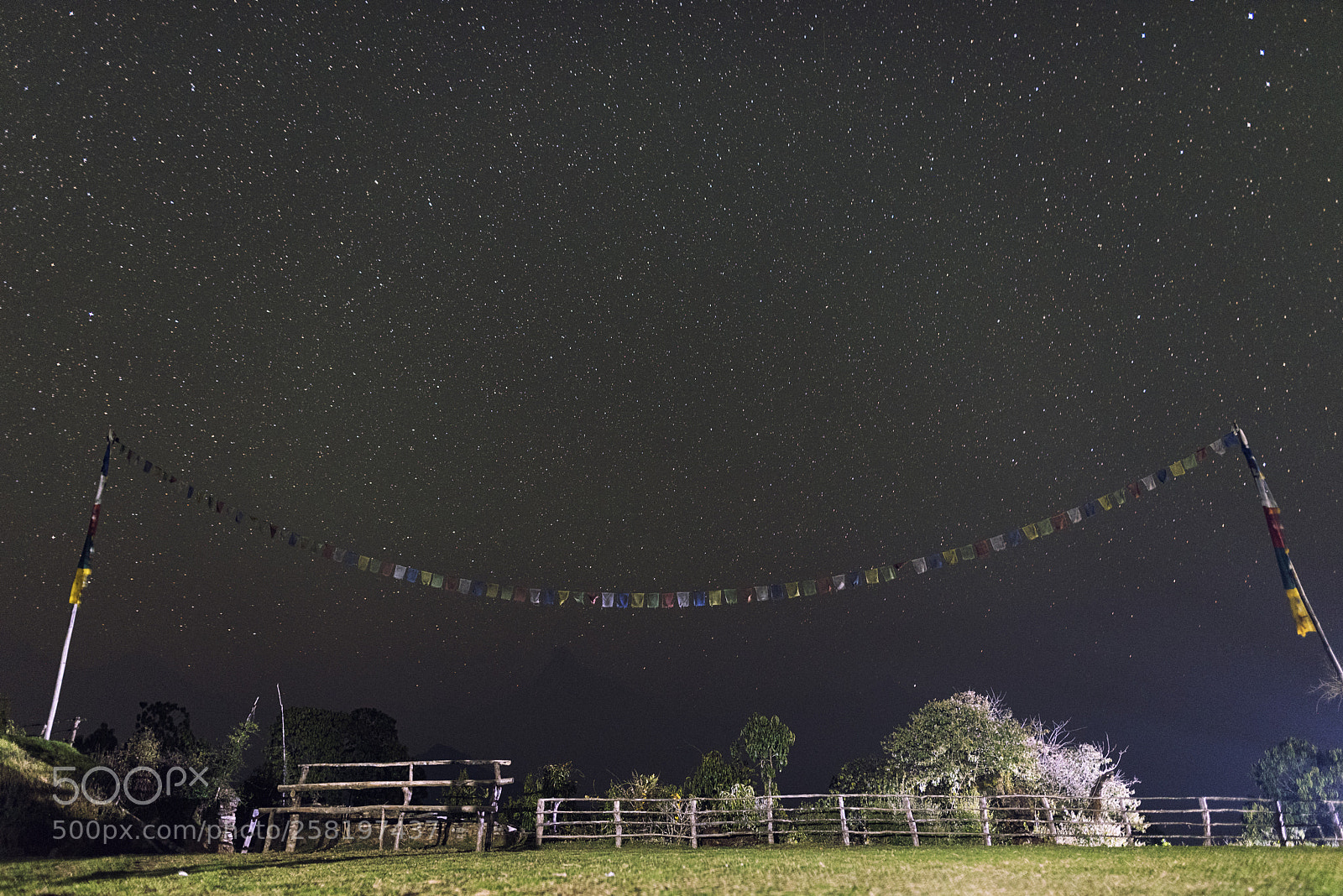 Nikon D750 sample photo. The stars above the photography