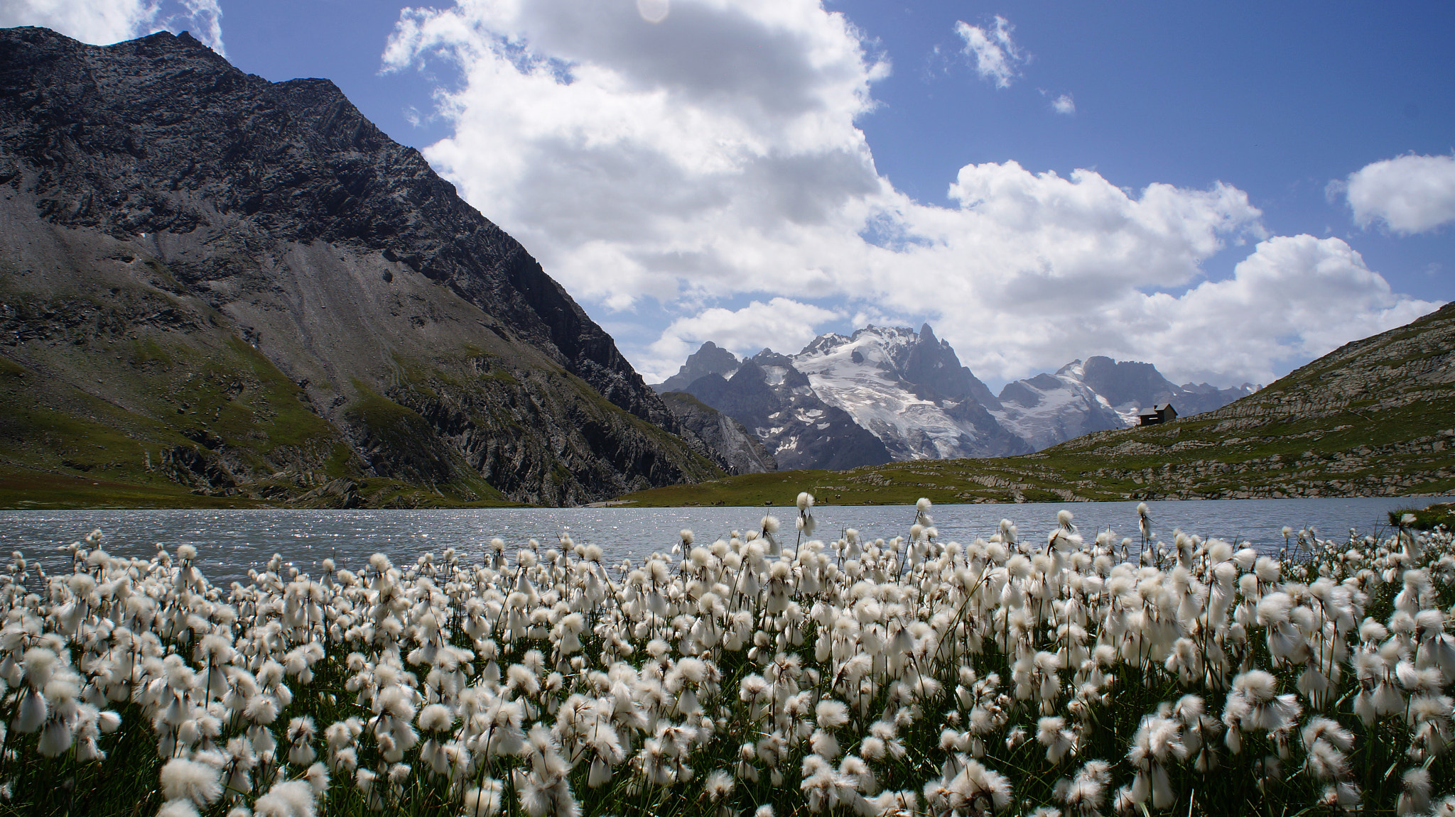 Sony Alpha NEX-5R sample photo. The alps photography