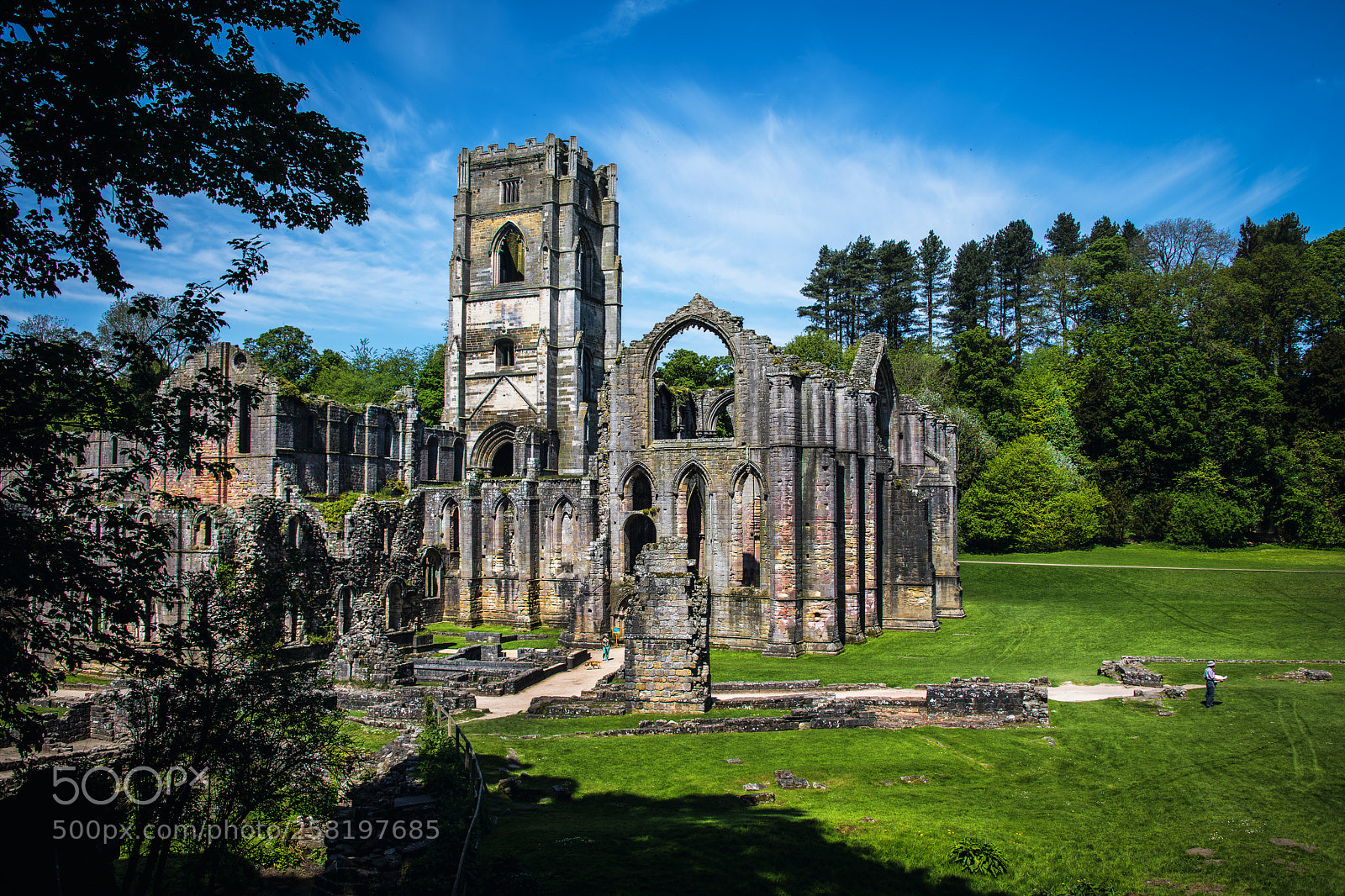 Nikon D850 sample photo. English heritage/national trust photography