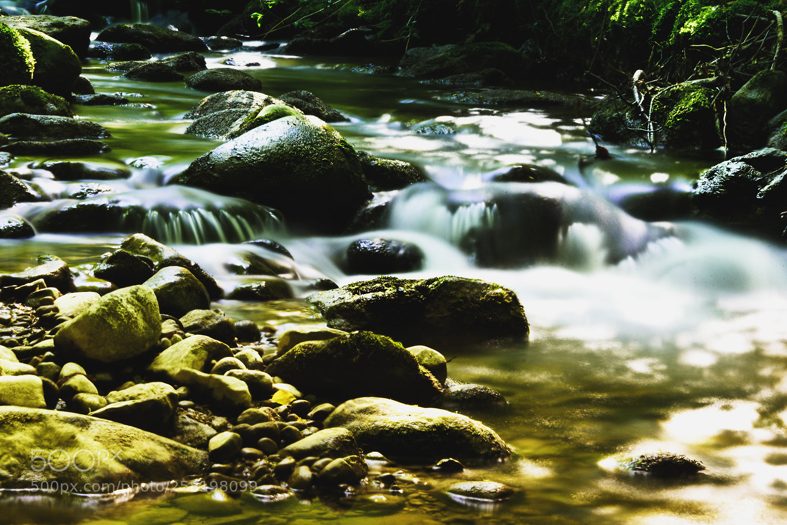 Nikon D750 sample photo. Fluss bei wetzikon photography