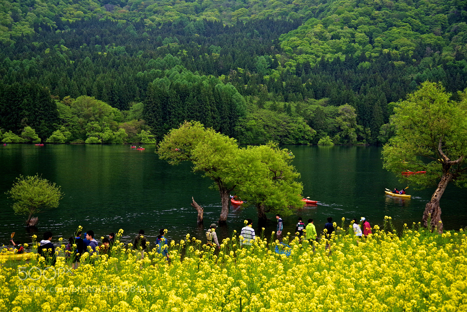 Pentax K-1 sample photo. The lake with yellow photography