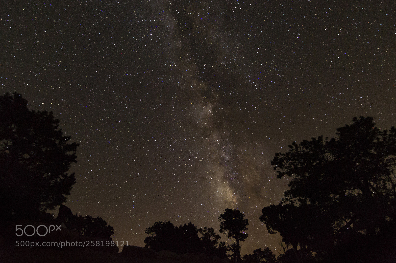 Nikon D3100 sample photo. Milky canyon photography