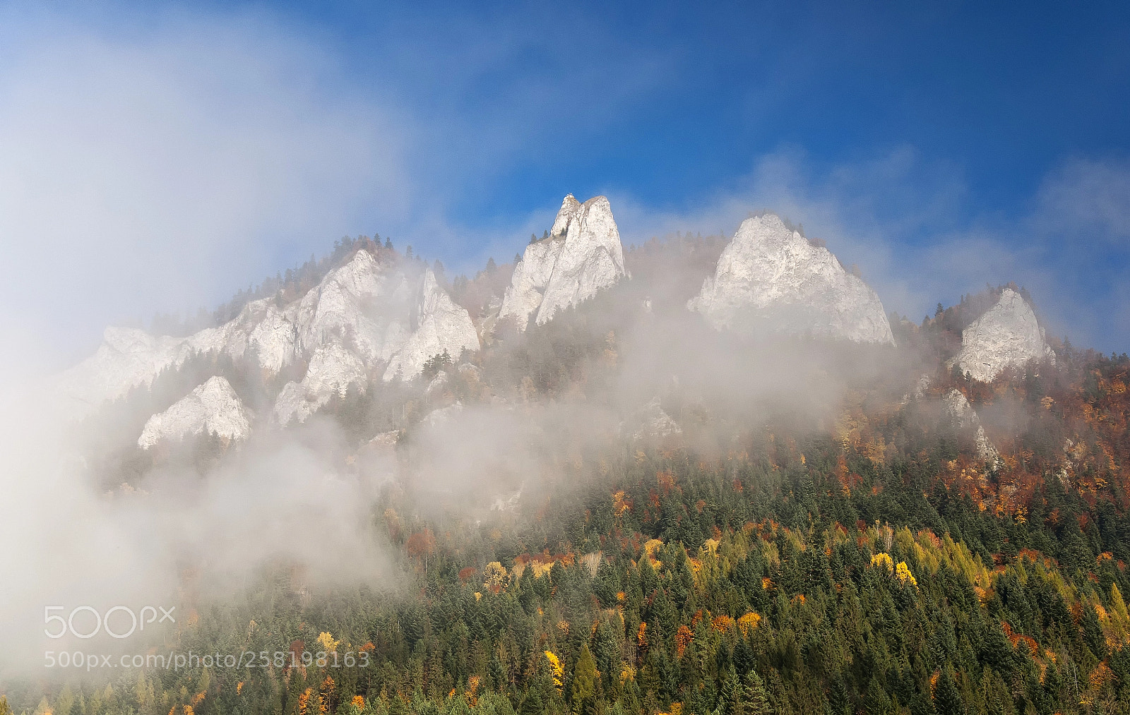 Nikon D5000 sample photo. Pieniny photography