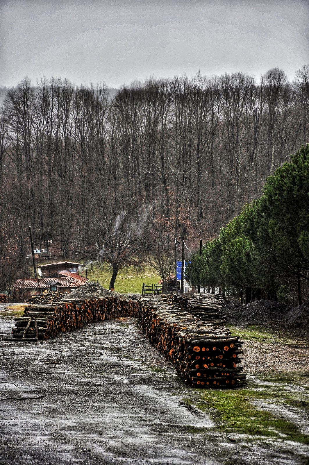Nikon D90 sample photo. Untitled photography
