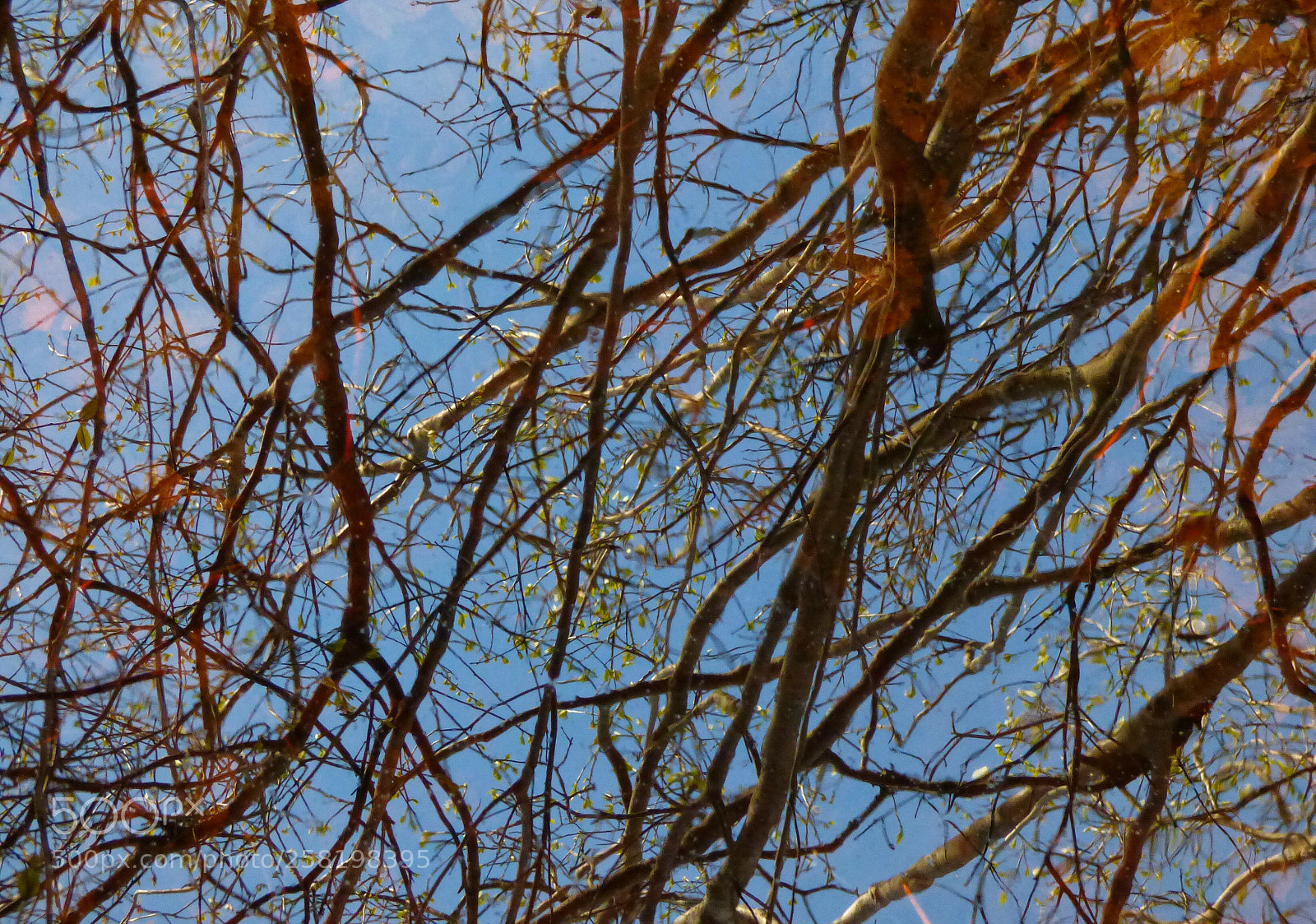 Panasonic Lumix DMC-FZ70 sample photo. Reflections in shallow water photography