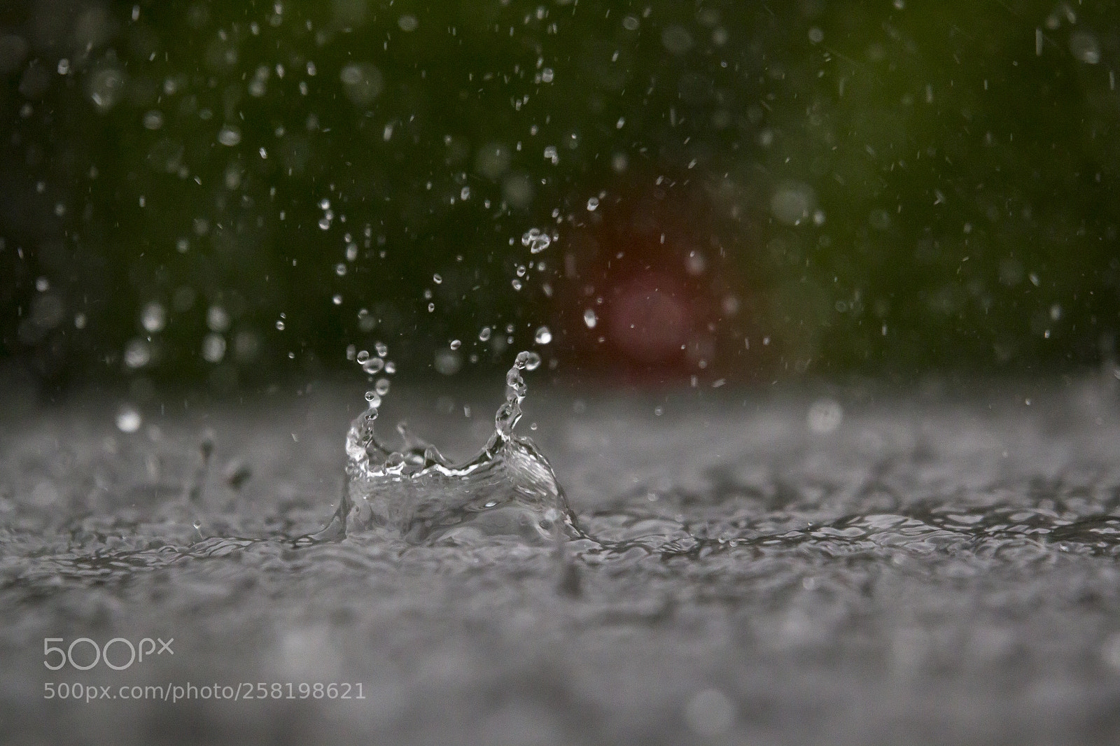 Canon EOS 70D sample photo. Rain splash photography