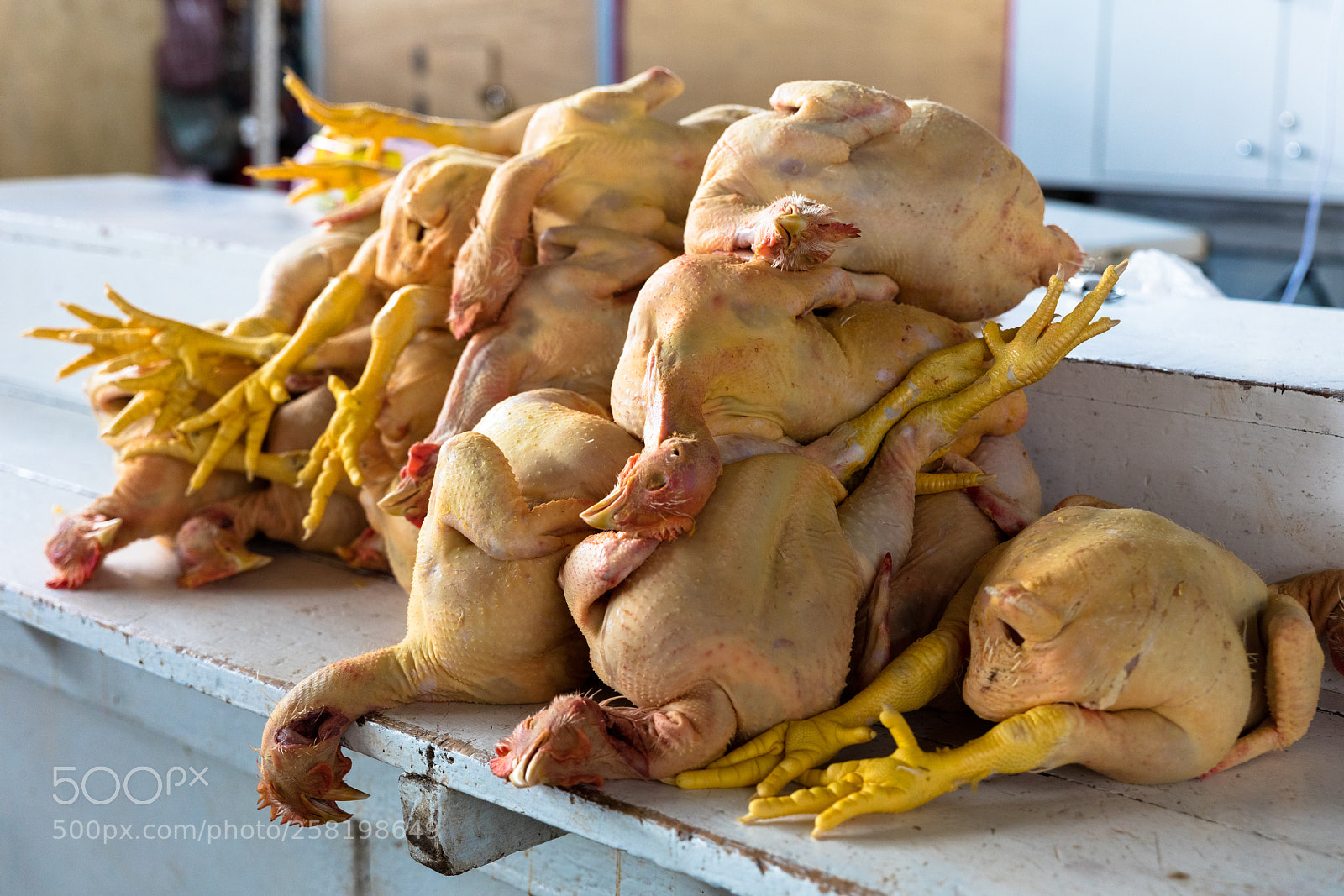 Canon EOS 5DS R sample photo. Chicken exposed in market photography