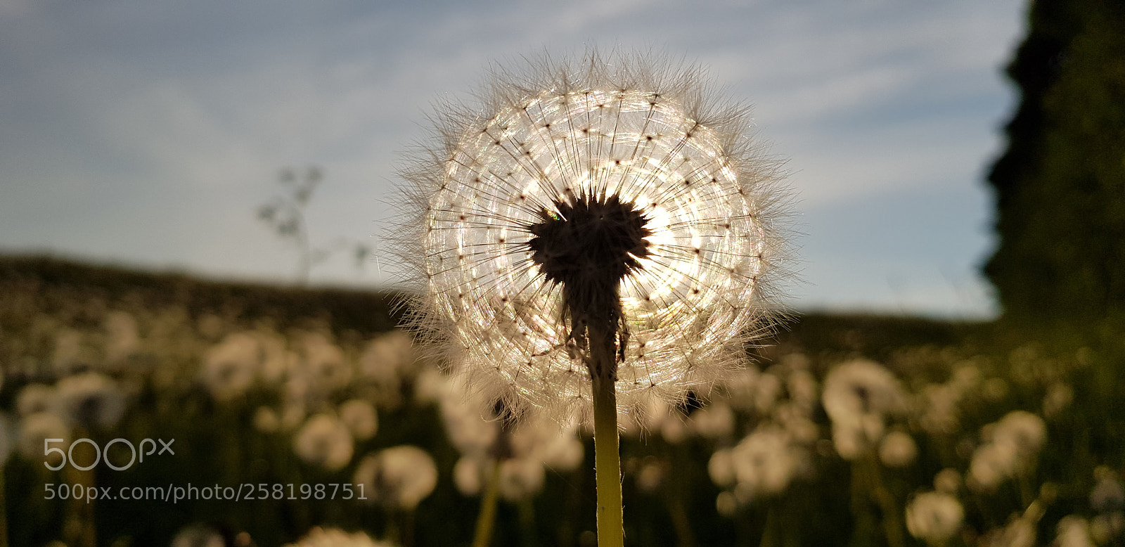 Samsung Galaxy S8 sample photo. Untitled photography