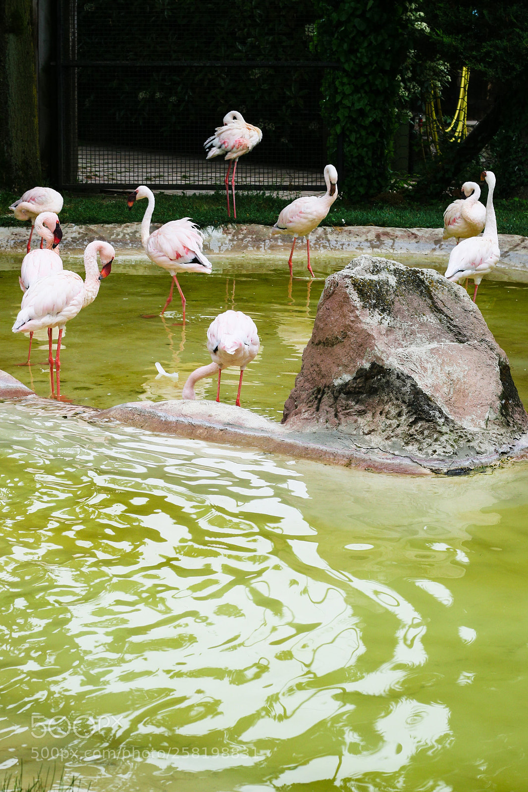 Canon EOS M3 sample photo. In water photography