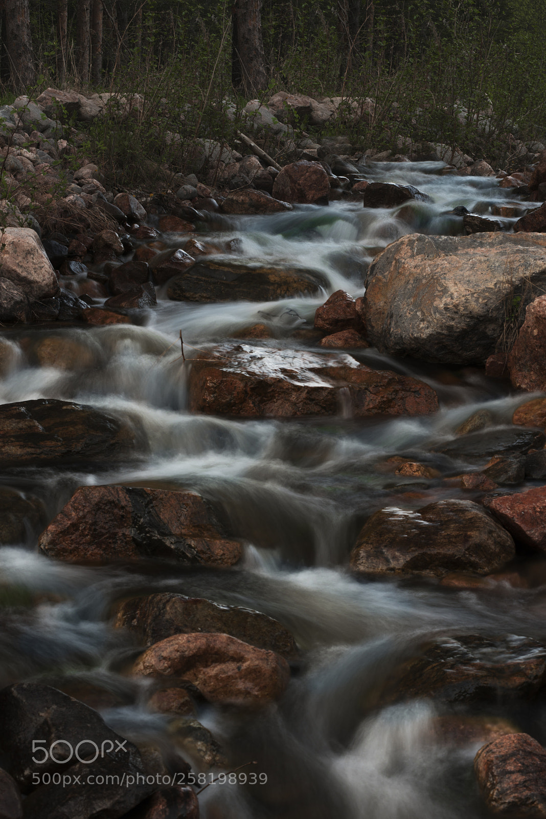 Nikon D750 sample photo. 2.jpg photography
