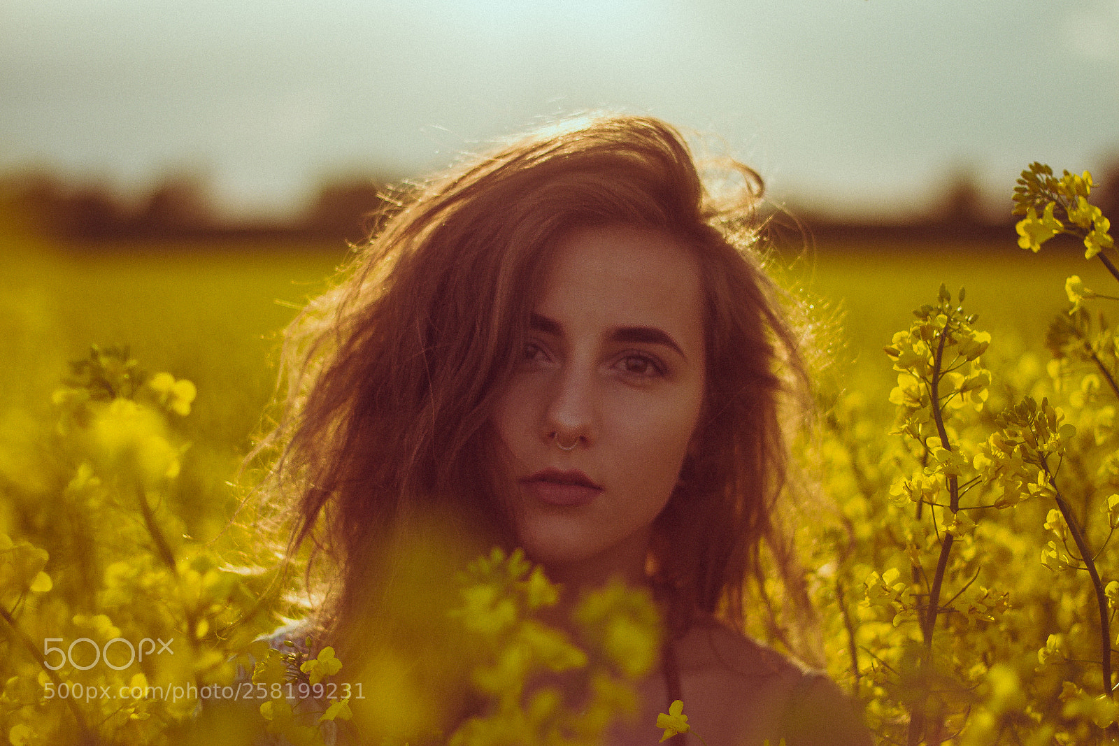 Canon EOS 7D sample photo. Girl in the field photography