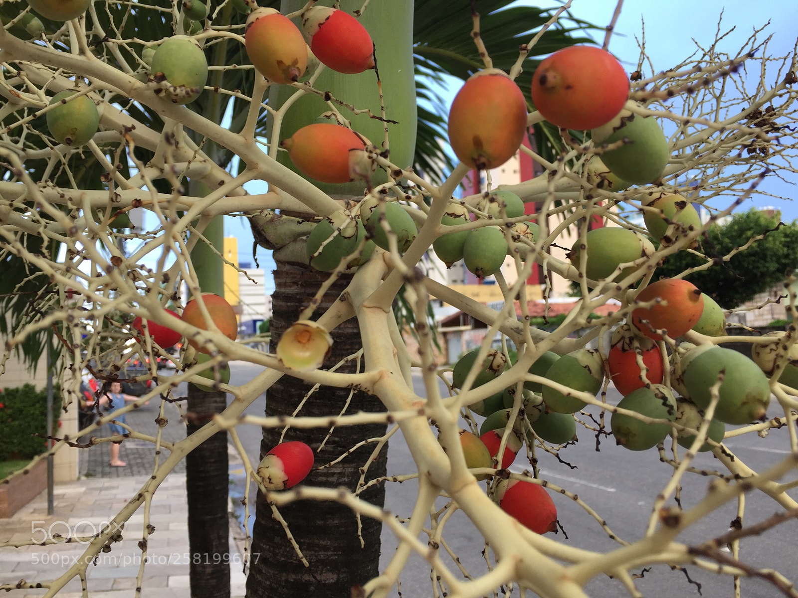 Apple iPhone 6 sample photo. On every street photography