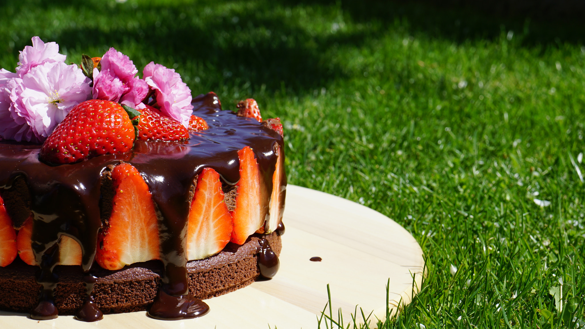 Sony a6000 + Sony E 18-55mm F3.5-5.6 OSS sample photo. The chocolate strawberry cake photography