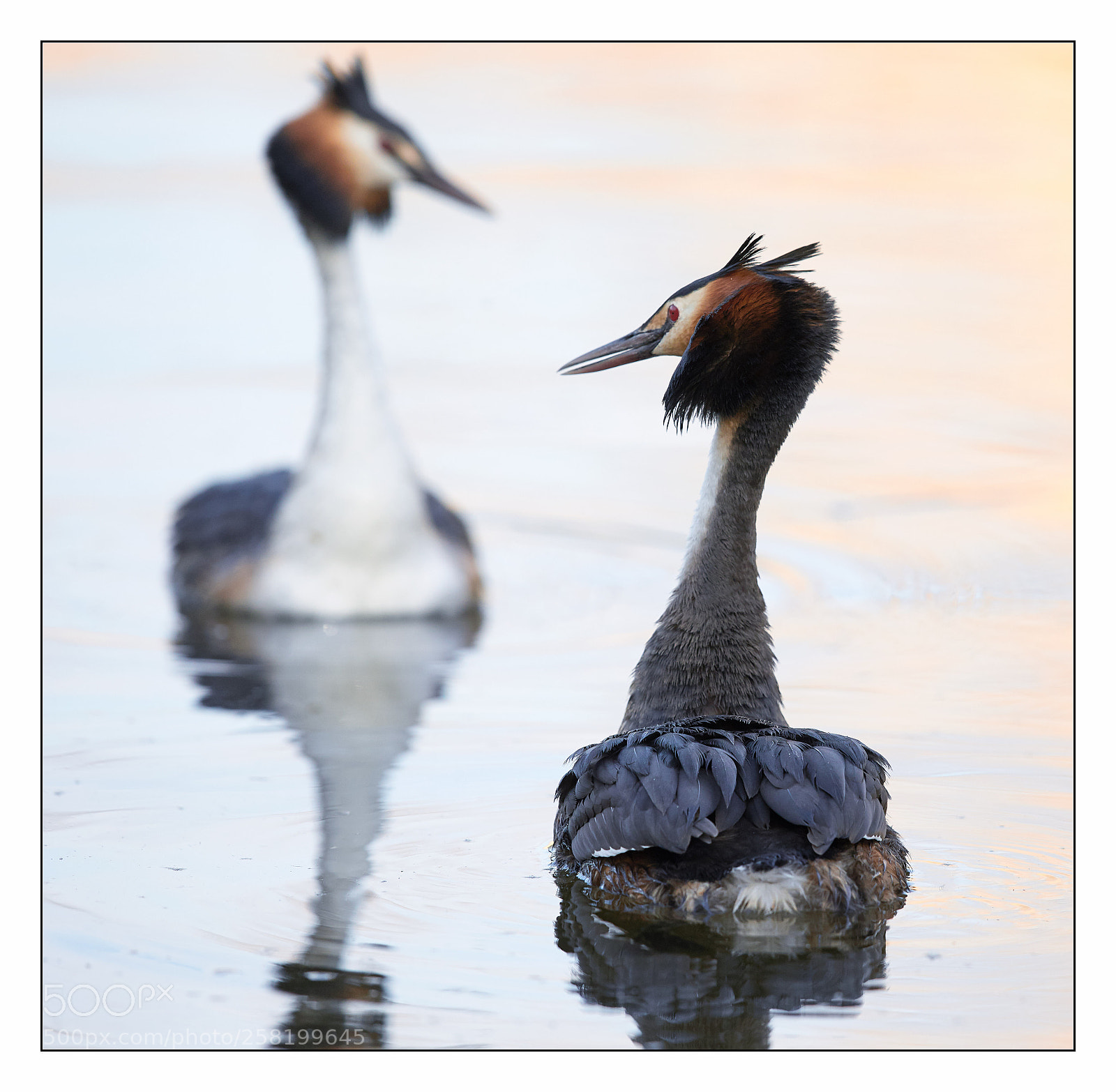 Canon EOS 5D Mark IV sample photo. Romance photography
