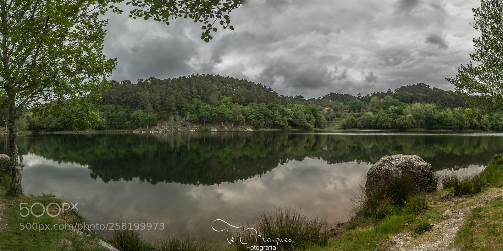 Nikon D7200 sample photo. Natural mirror photography