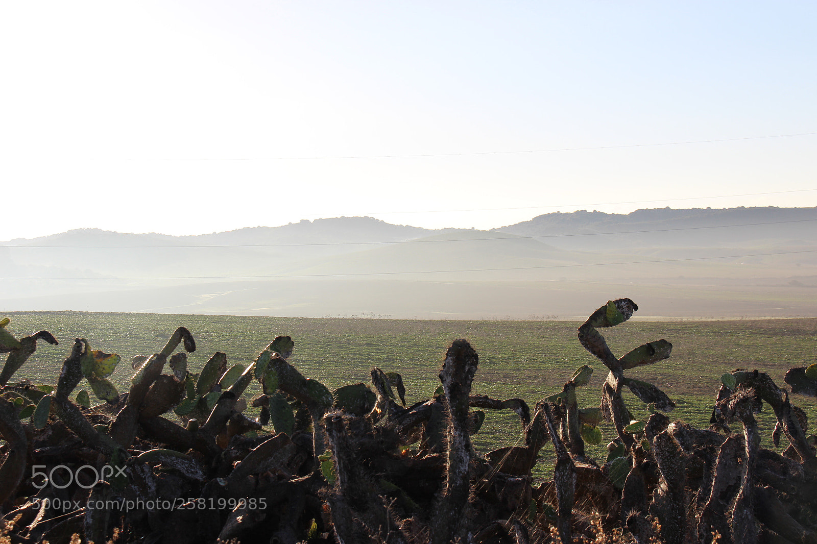 Canon EOS 600D (Rebel EOS T3i / EOS Kiss X5) sample photo. Campos de vejer de photography